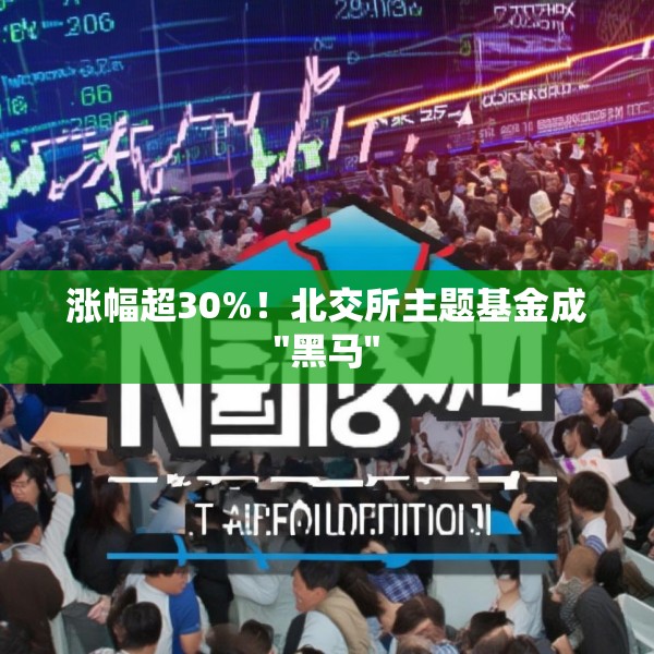涨幅超30%！北交所主题基金成