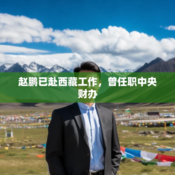 赵鹏已赴西藏工作，曾任职中央财办