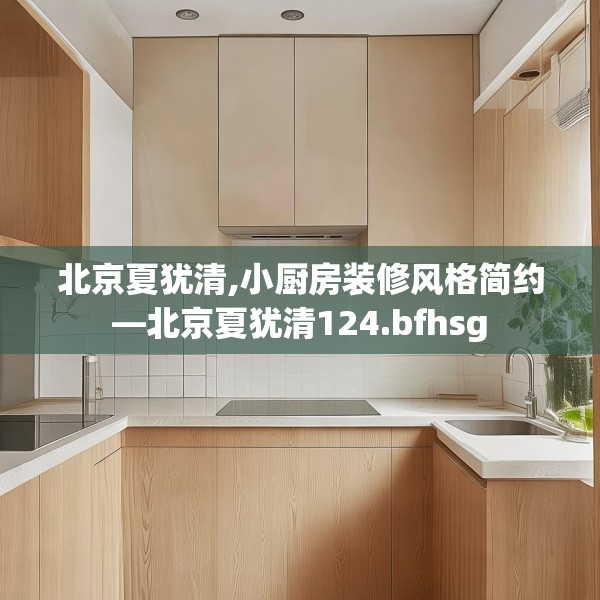 北京夏犹清,小厨房装修风格简约—北京夏犹清124.bfhsg
