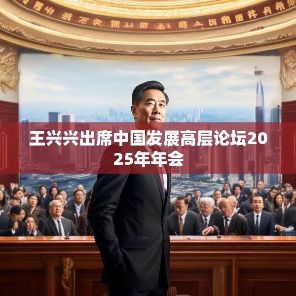 王兴兴出席中国发展高层论坛2025年年会