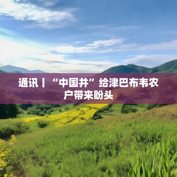 通讯丨“中国井”给津巴布韦农户带来盼头