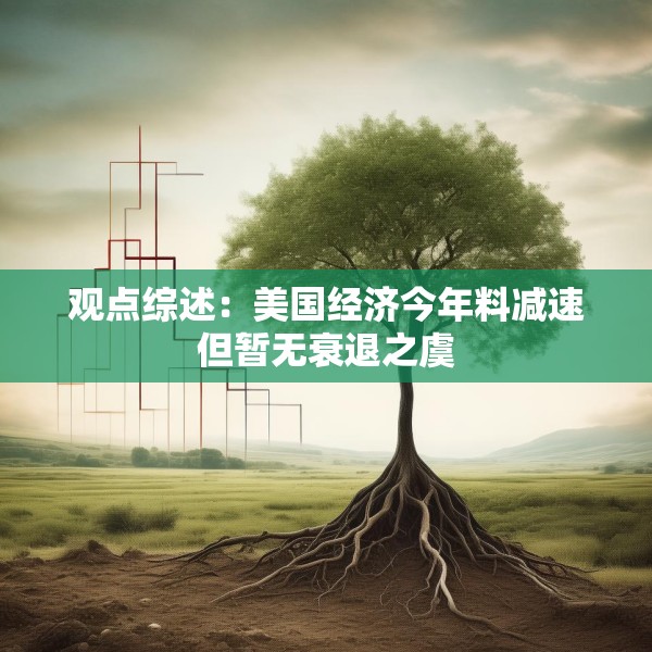 观点综述：美国经济今年料减速但暂无衰退之虞