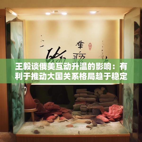 王毅谈俄美互动升温的影响：有利于推动大国关系格局趋于稳定