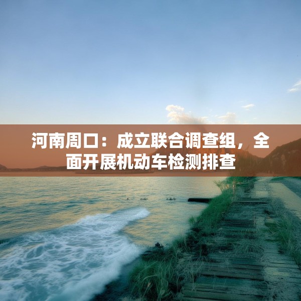 河南周口：成立联合调查组，全面开展机动车检测排查