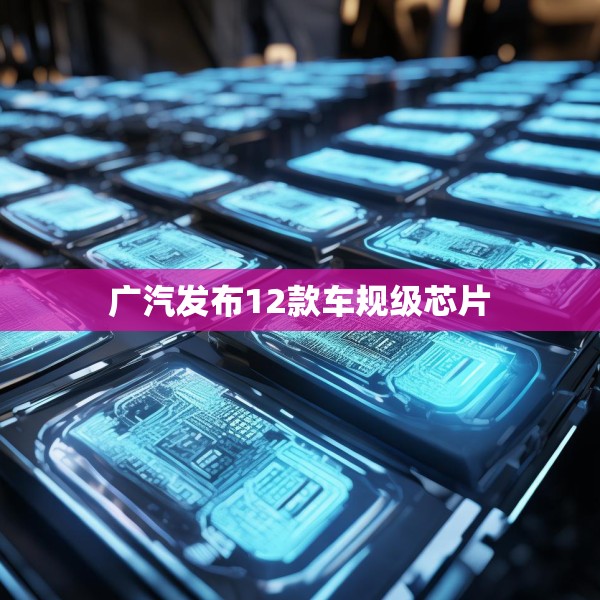 广汽发布12款车规级芯片
