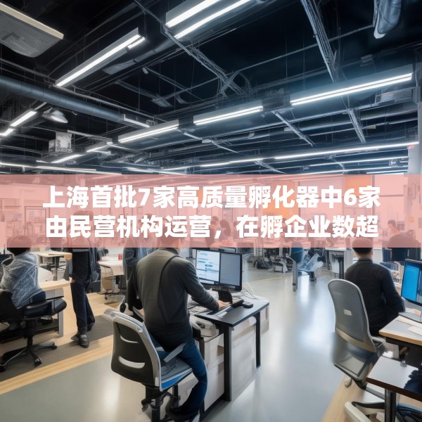 上海首批7家高质量孵化器中6家由民营机构运营，在孵企业数超200家
