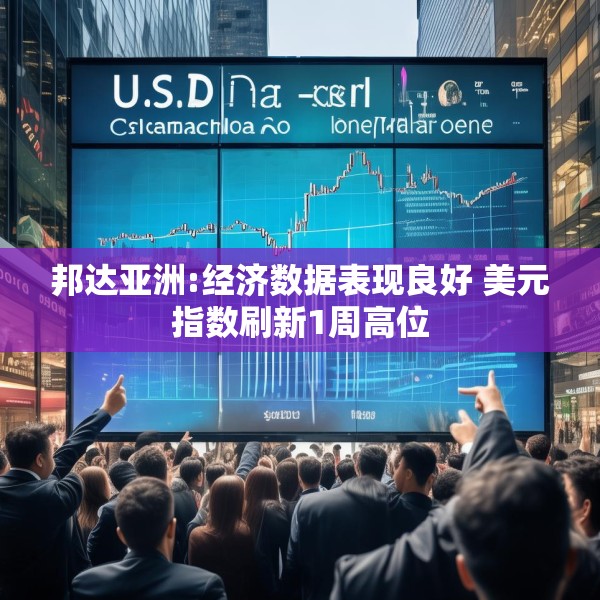 2025年4月24日 第5页