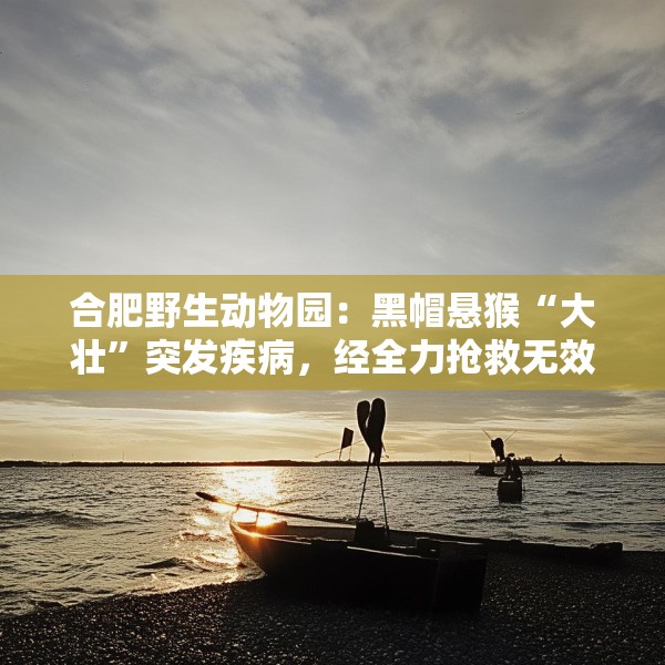 合肥野生动物园：黑帽悬猴“大壮”突发疾病，经全力抢救无效离世