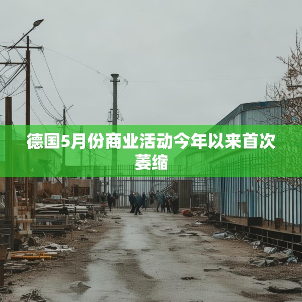 德国5月份商业活动今年以来首次萎缩
