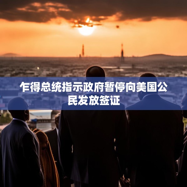 乍得总统指示政府暂停向美国公民发放签证