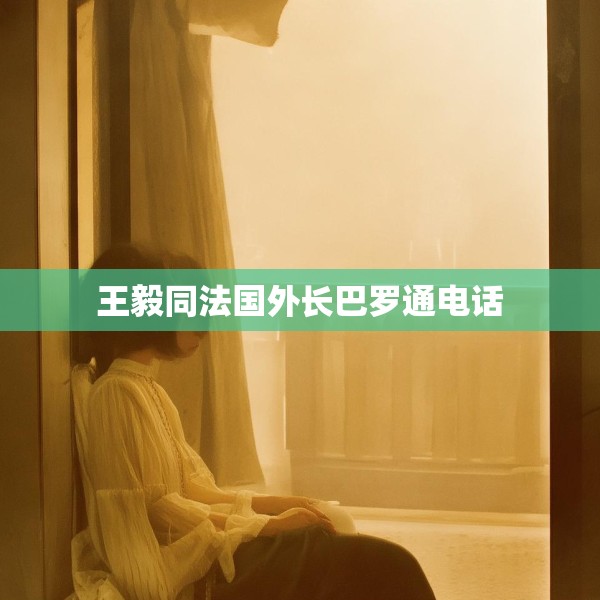 王毅同法国外长巴罗通电话