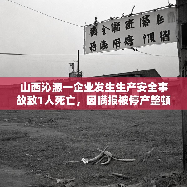 山西沁源一企业发生生产安全事故致1人死亡，因瞒报被停产整顿