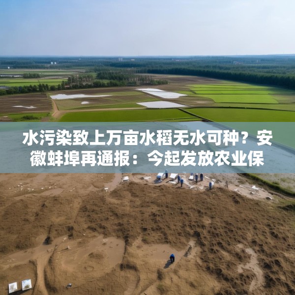 水污染致上万亩水稻无水可种？安徽蚌埠再通报：今起发放农业保险赔付