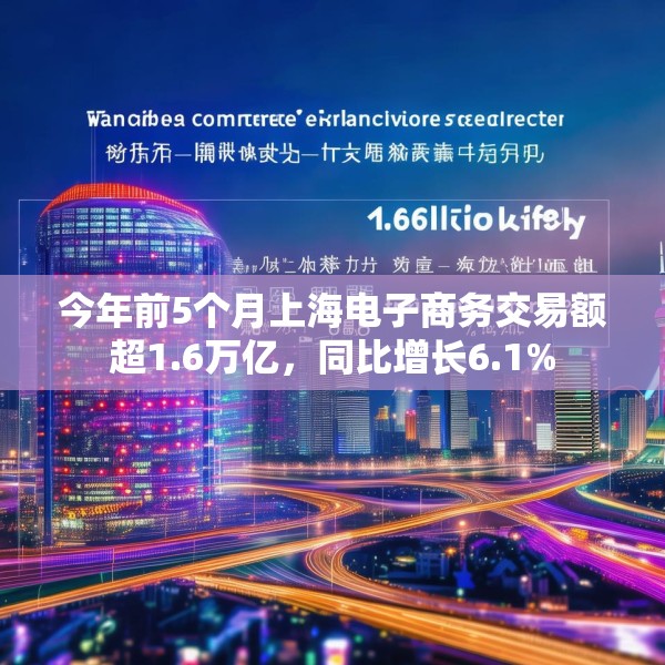 今年前5个月上海电子商务交易额超1.6万亿，同比增长6.1%