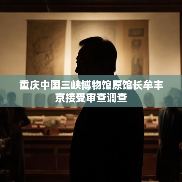 重庆中国三峡博物馆原馆长牟丰京接受审查调查