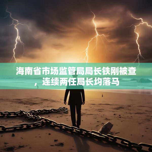 海南省市场监管局局长铁刚被查，连续两任局长均落马
