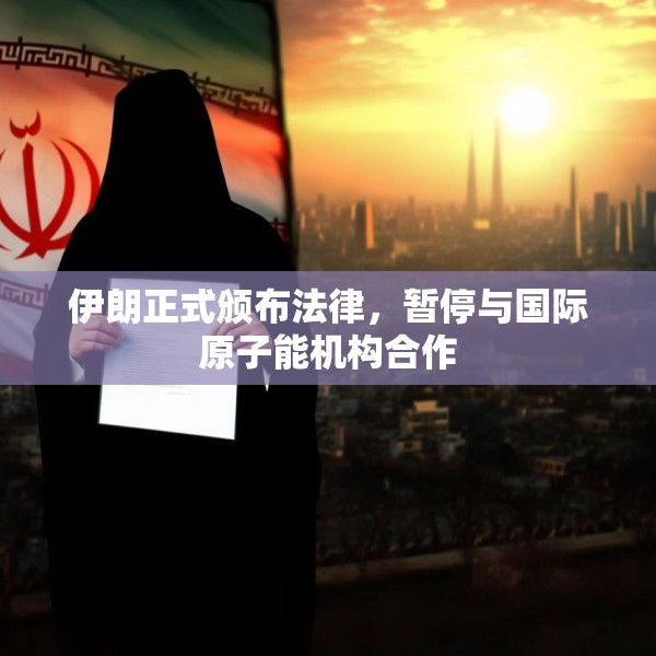 伊朗正式颁布法律，暂停与国际原子能机构合作