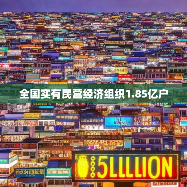 全国实有民营经济组织1.85亿户