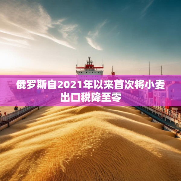 俄罗斯自2021年以来首次将小麦出口税降至零