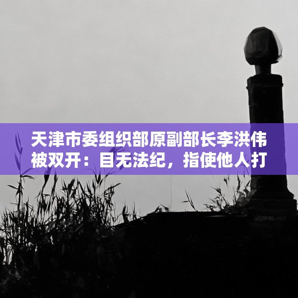 天津市委组织部原副部长李洪伟被双开：目无法纪，指使他人打探案情