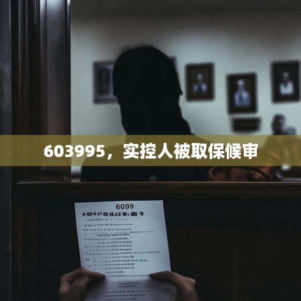 603995，实控人被取保候审