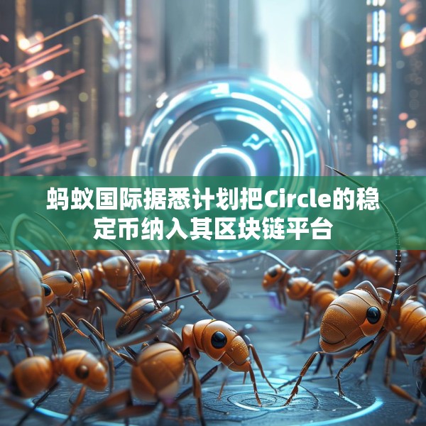 蚂蚁国际据悉计划把Circle的稳定币纳入其区块链平台